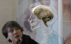 Brain Donors Needed in Finding Cure for Mental and Psychological Disorders, Scientists Appeal to People