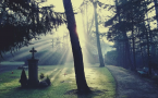 5 Most Common Types of Wrongful Death Cases